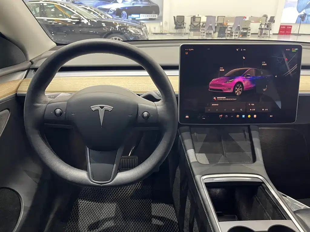 Tesla Model Y — миниатюра 10