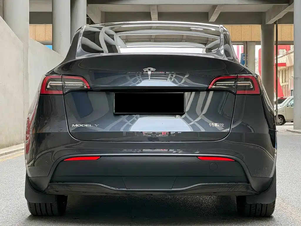 Tesla Model Y — миниатюра 4