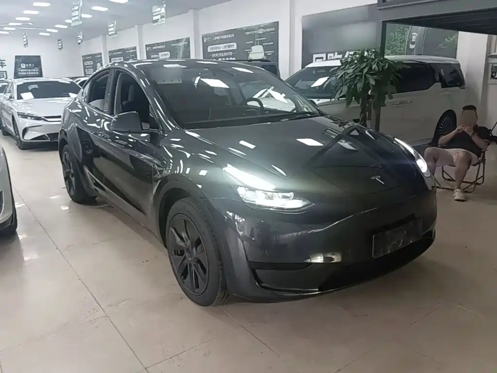 Tesla Model Y — миниатюра 4