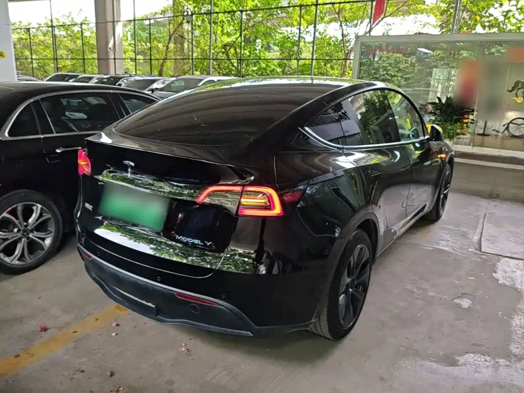Tesla Model Y — миниатюра 7