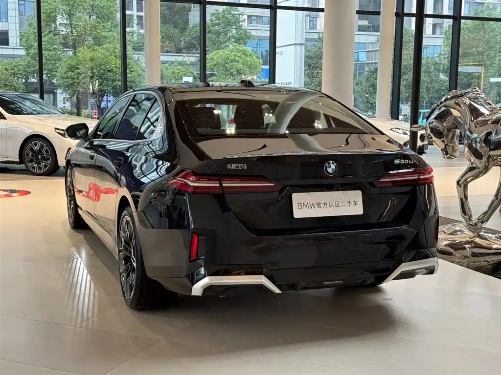 BMW 5 Series — миниатюра 11