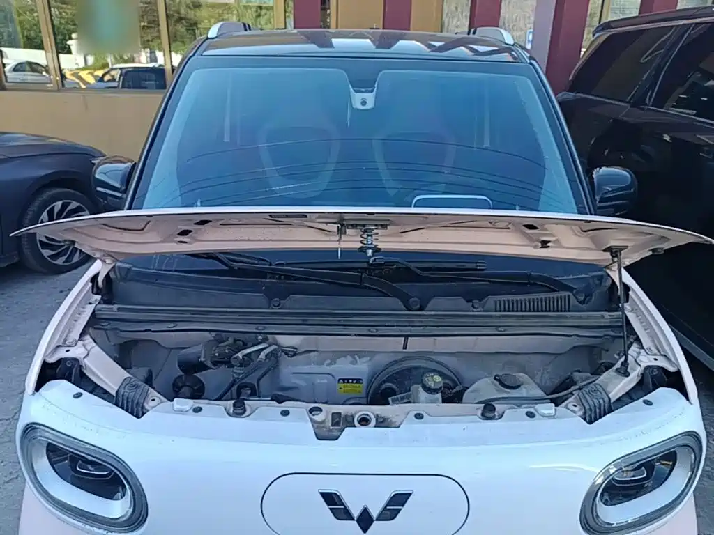 Wuling MINIEV — миниатюра 20