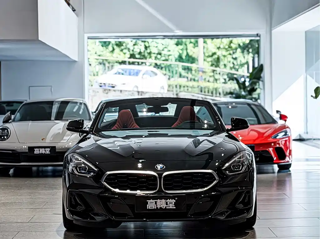 BMW Z4 — миниатюра 2