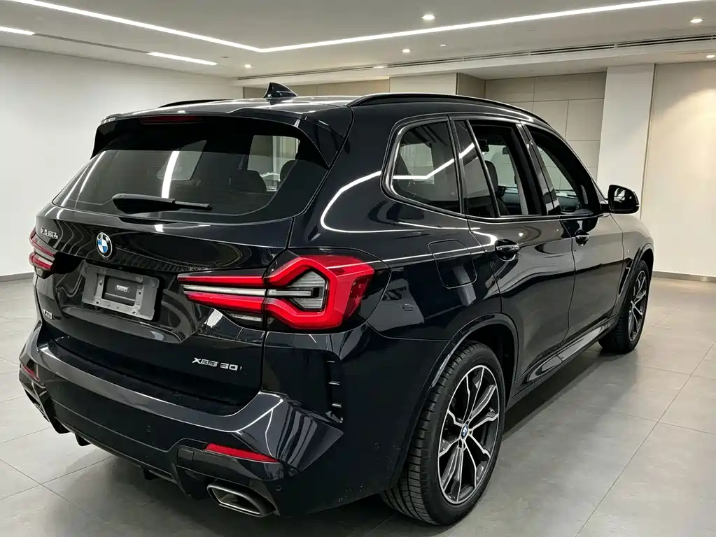 BMW X3 — миниатюра 8