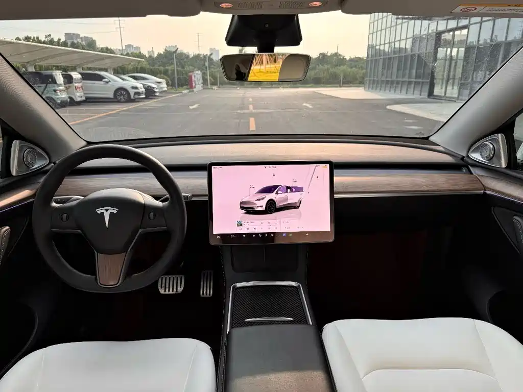 Tesla Model Y 2022 Performance