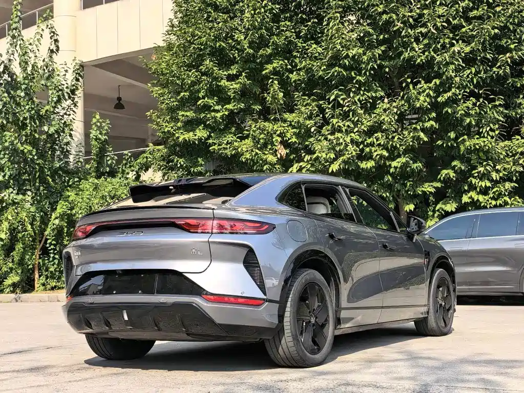 BYD L EV — миниатюра 8