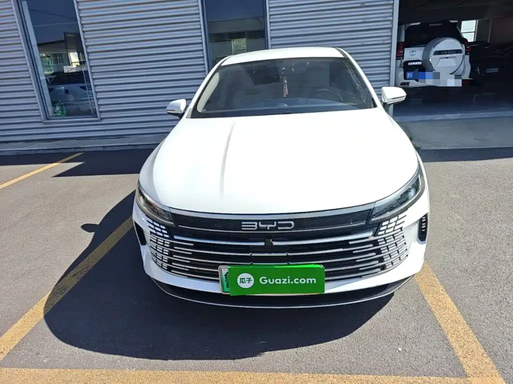 BYD Destroyer 05 2024 DM-i 55KM Luxury