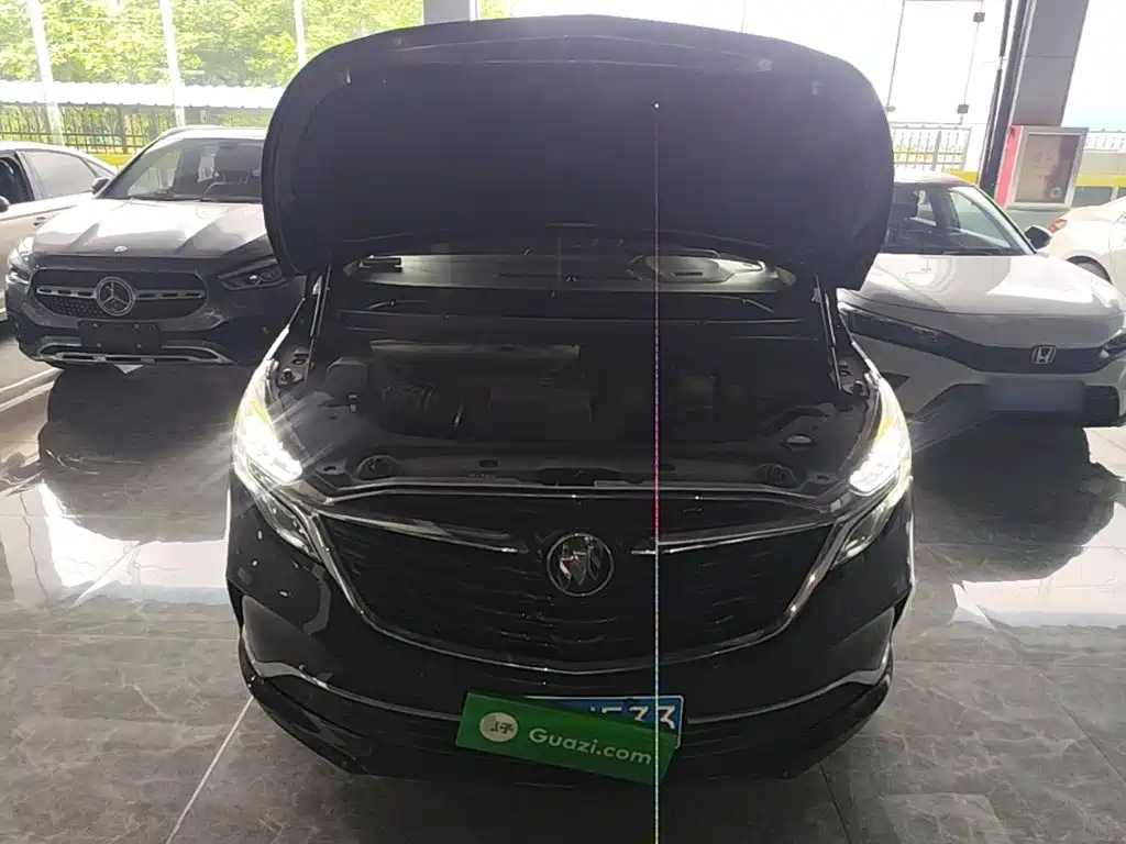 Buick GL8 — миниатюра 16