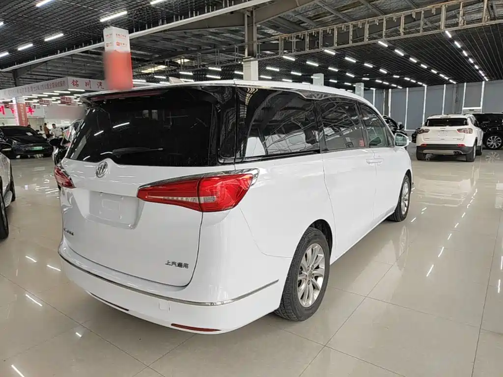 Buick GL8 — миниатюра 7