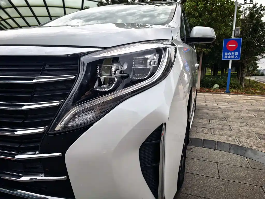GAC Motor Trumpchi M8 — миниатюра 13