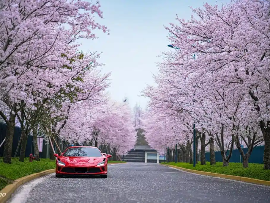 Ferrari F8 — миниатюра 3