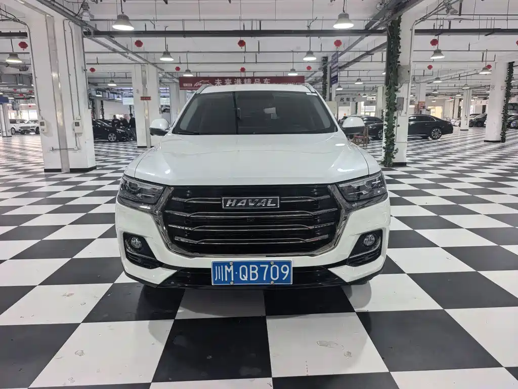 Haval H6 — миниатюра 2