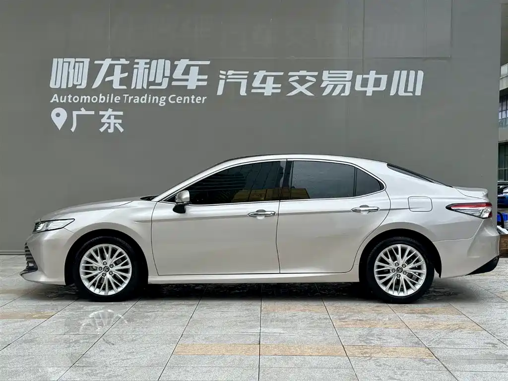 Toyota Camry 2019 2.5G Luxury VI