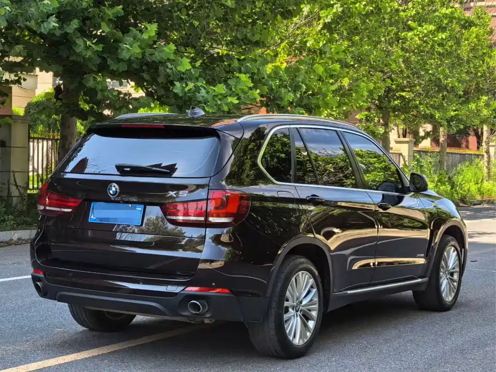 BMW X5 (Import) — миниатюра 6