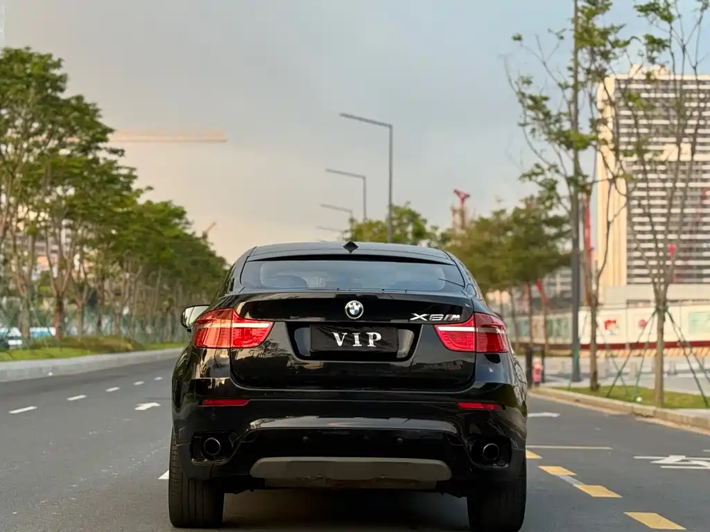 BMW X6 2009 xDrive35i