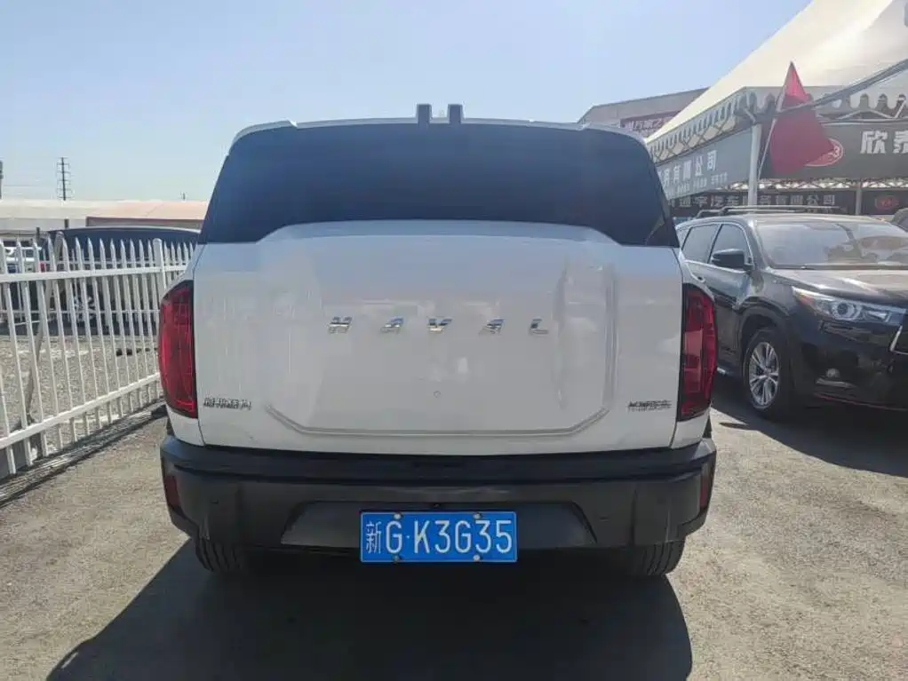 Haval Cool Dog — миниатюра 8
