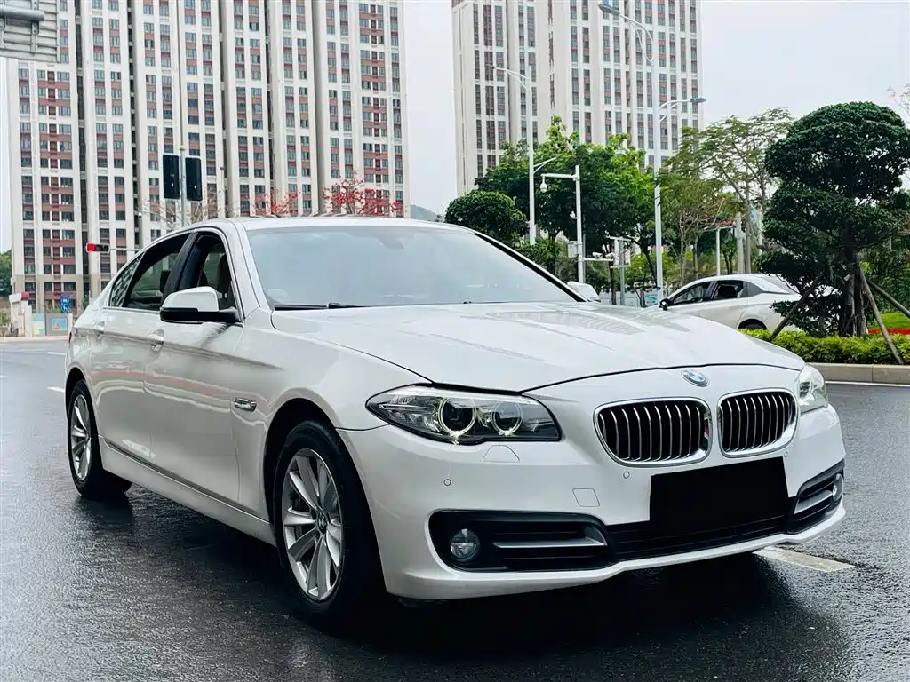 BMW 5 Series 5 2014 520Li Elegant