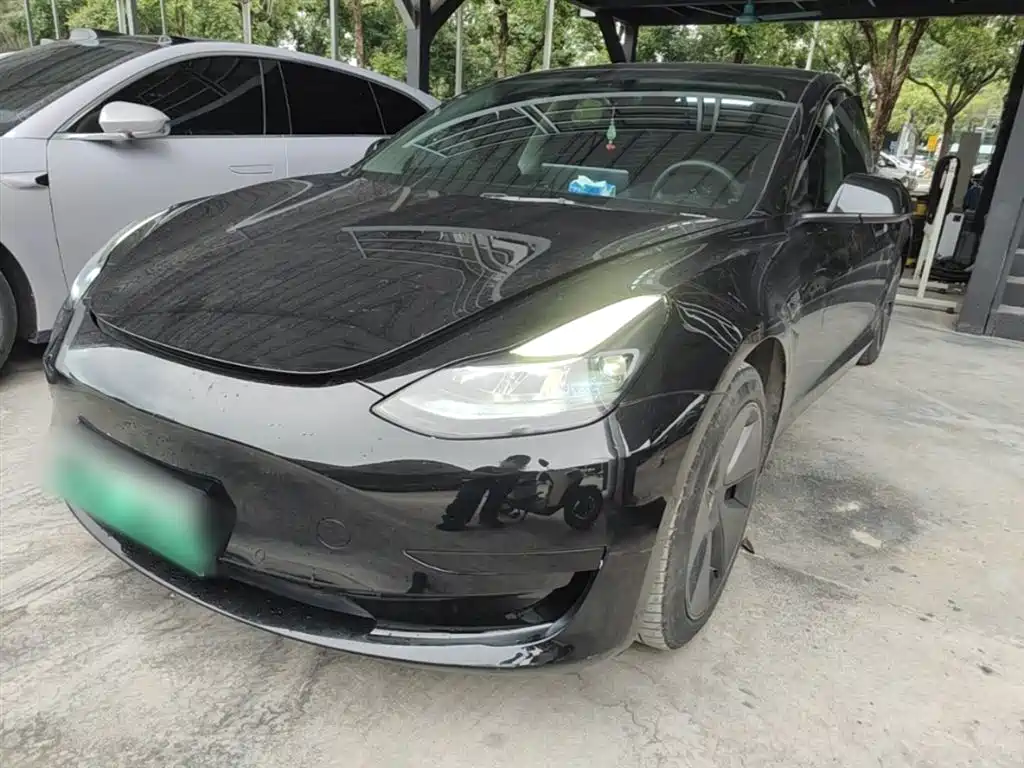 Tesla Model 3 2021