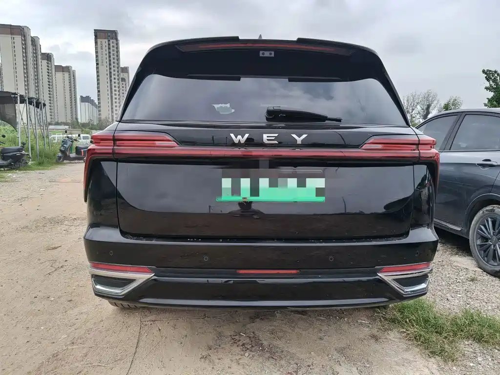 Wey Wey Lanshan — миниатюра 11