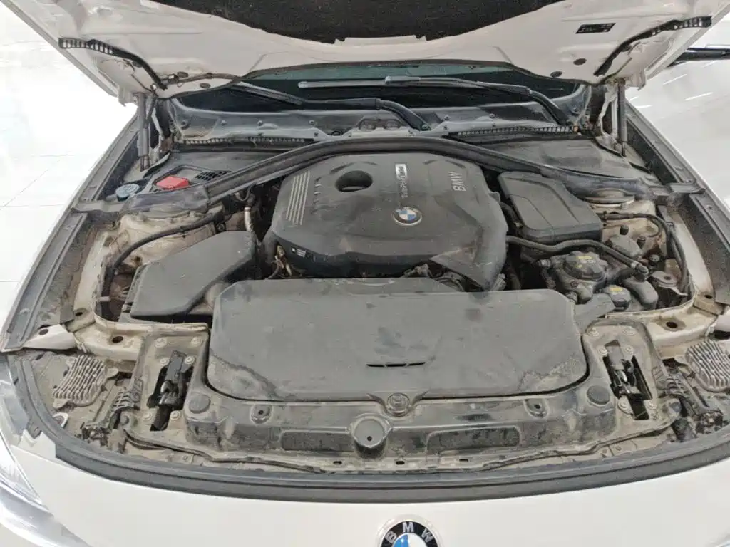 BMW 3 Series GT — миниатюра 20