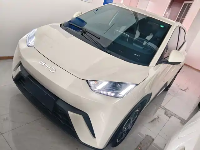 BYD Seagull