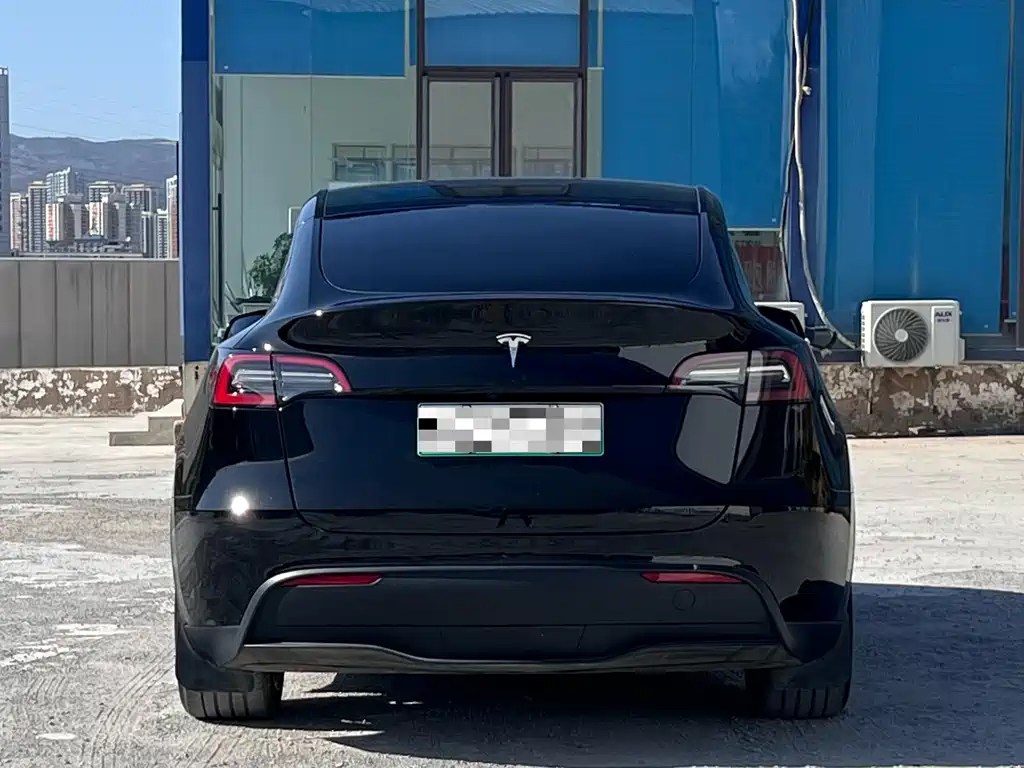 Tesla Model Y — миниатюра 5