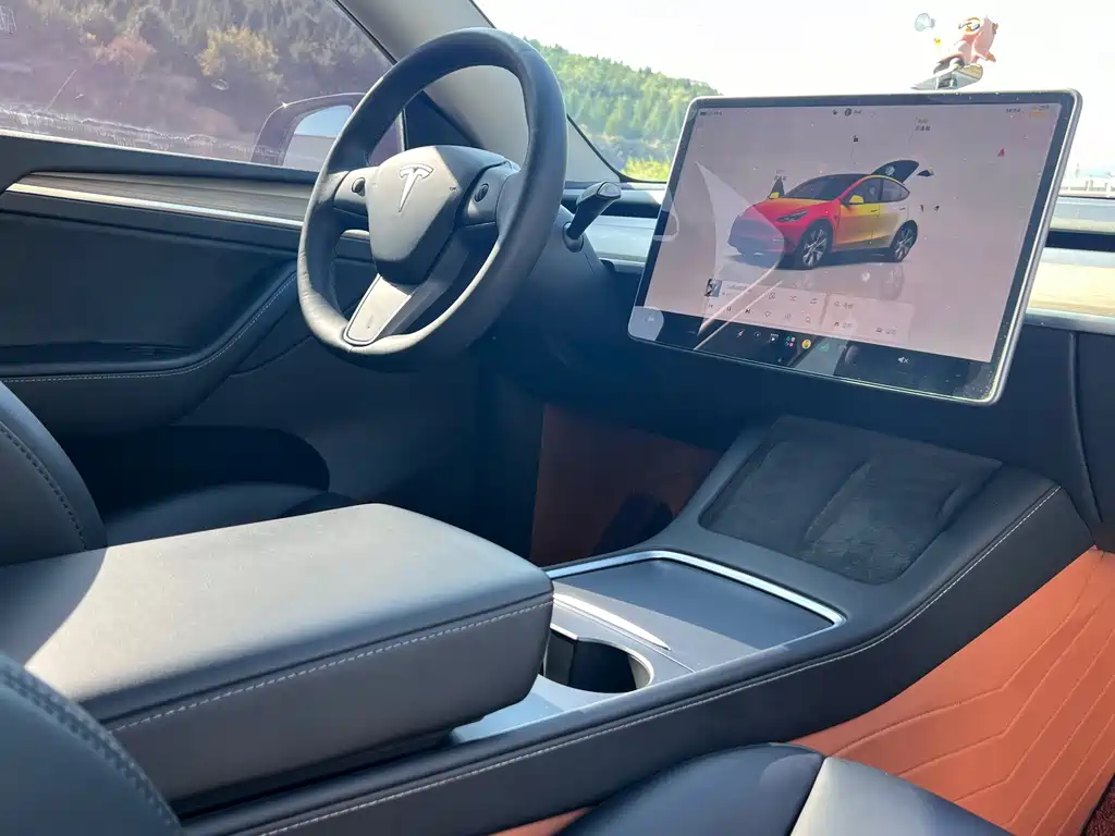 Tesla Model Y — миниатюра 14
