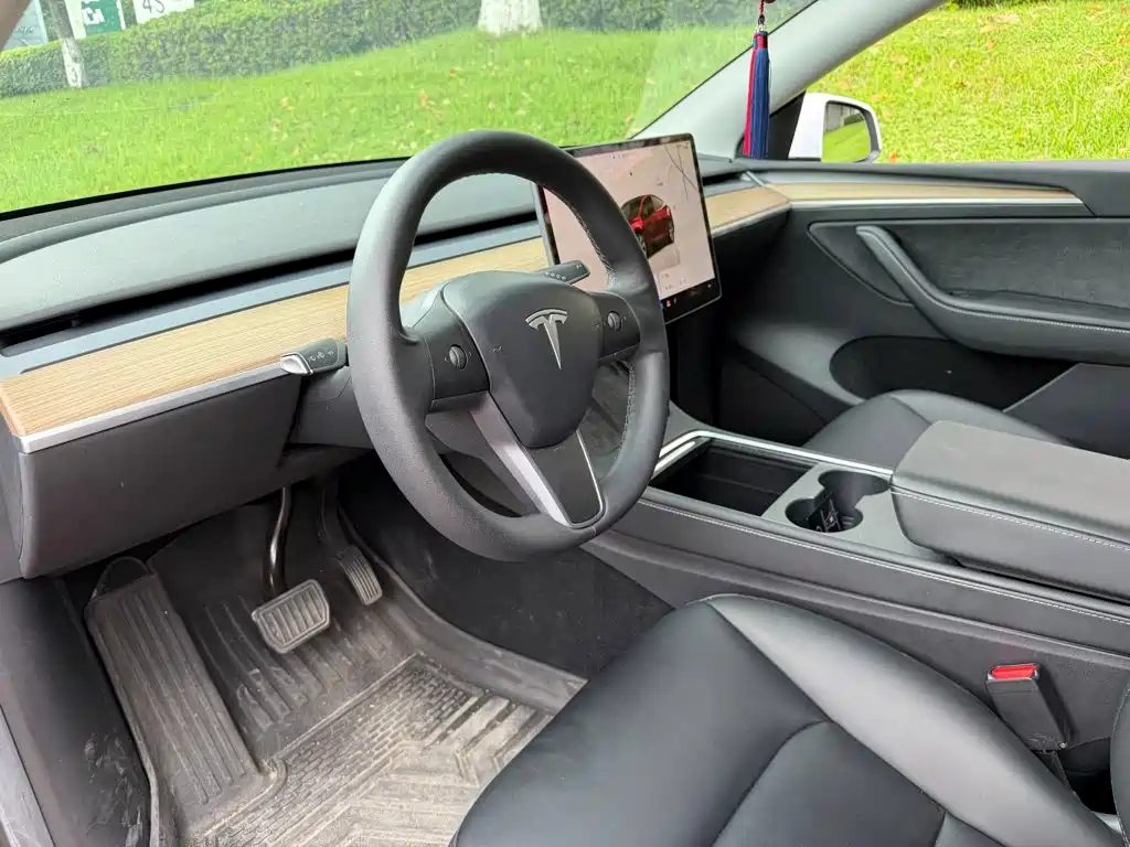 Tesla Model Y — миниатюра 7