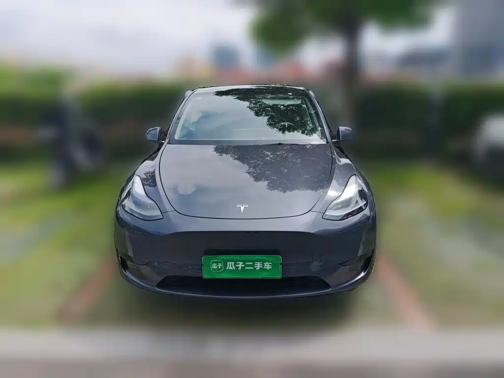 Tesla Model Y — миниатюра 23