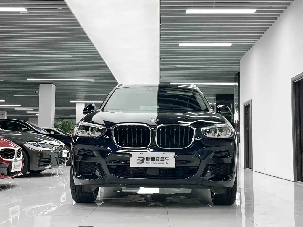 BMW X3 — миниатюра 2