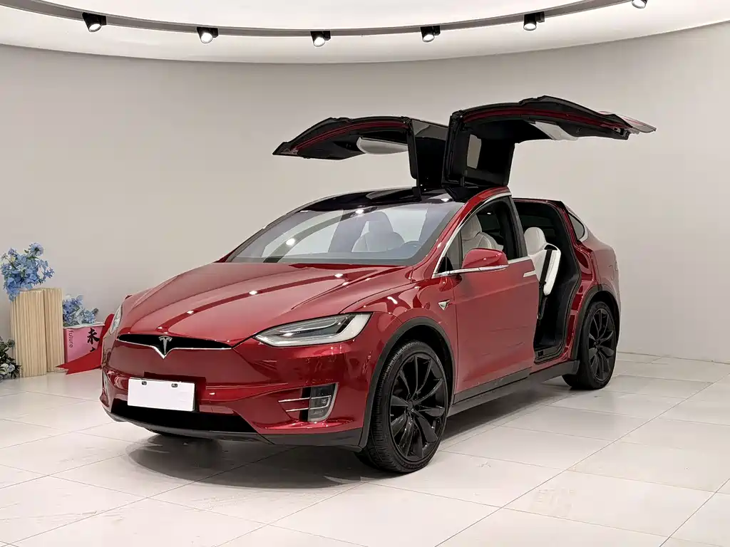 Tesla Model X 2019