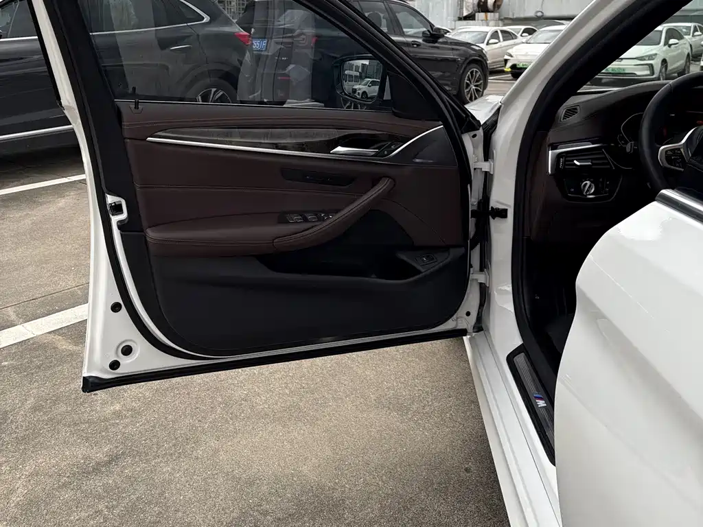 BMW 5 Series 5 2020 525Li M Sport
