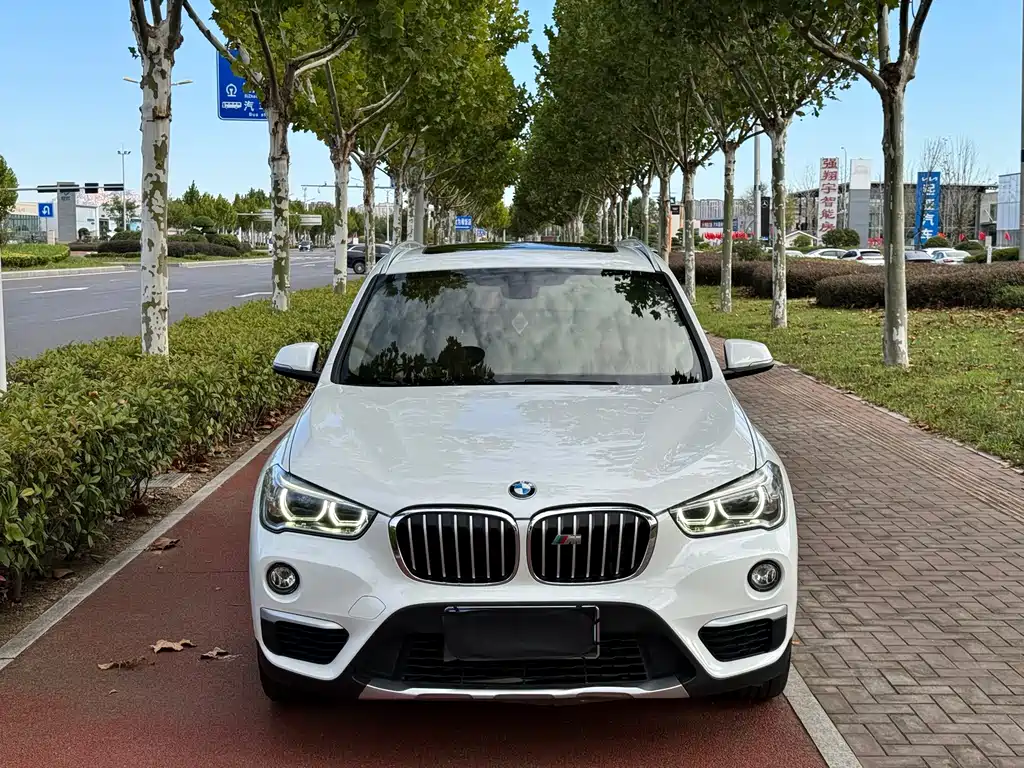 BMW X1 — миниатюра 2