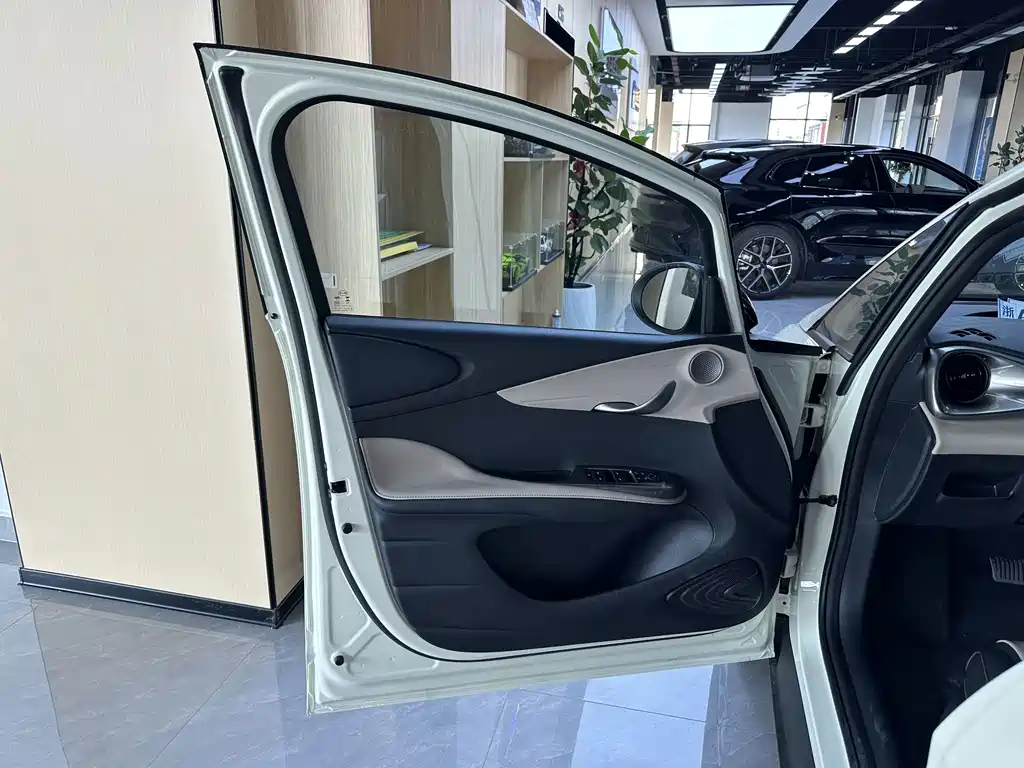 BYD Dolphin — миниатюра 13