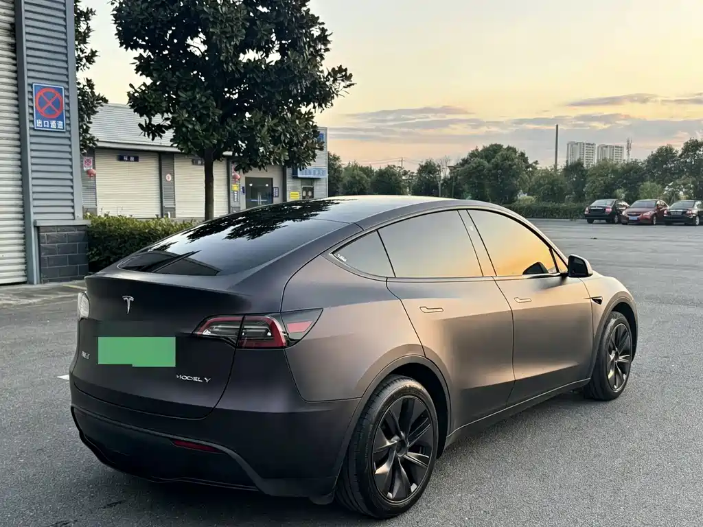 Tesla Model Y — миниатюра 2