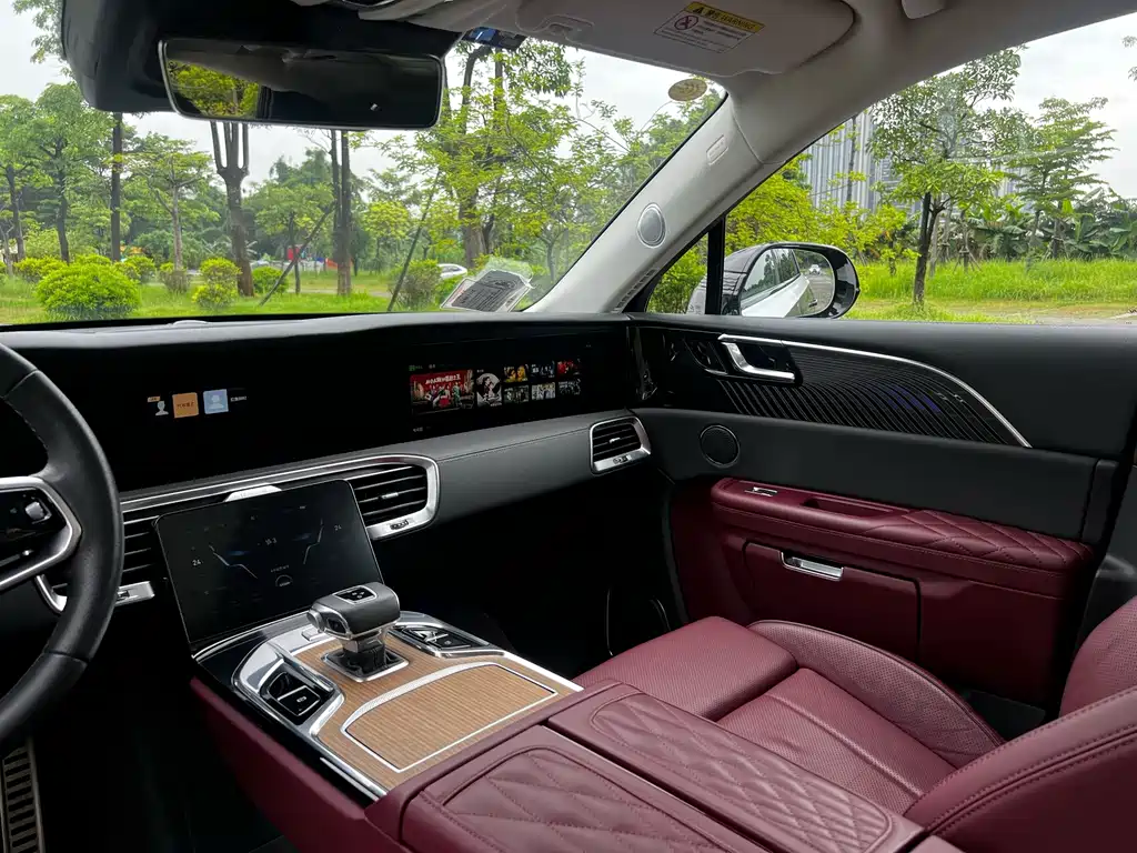 Hongqi Hongqi E-HS9 — миниатюра 9