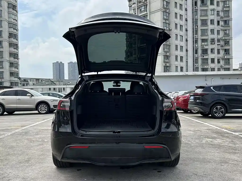 Tesla Model Y — миниатюра 16
