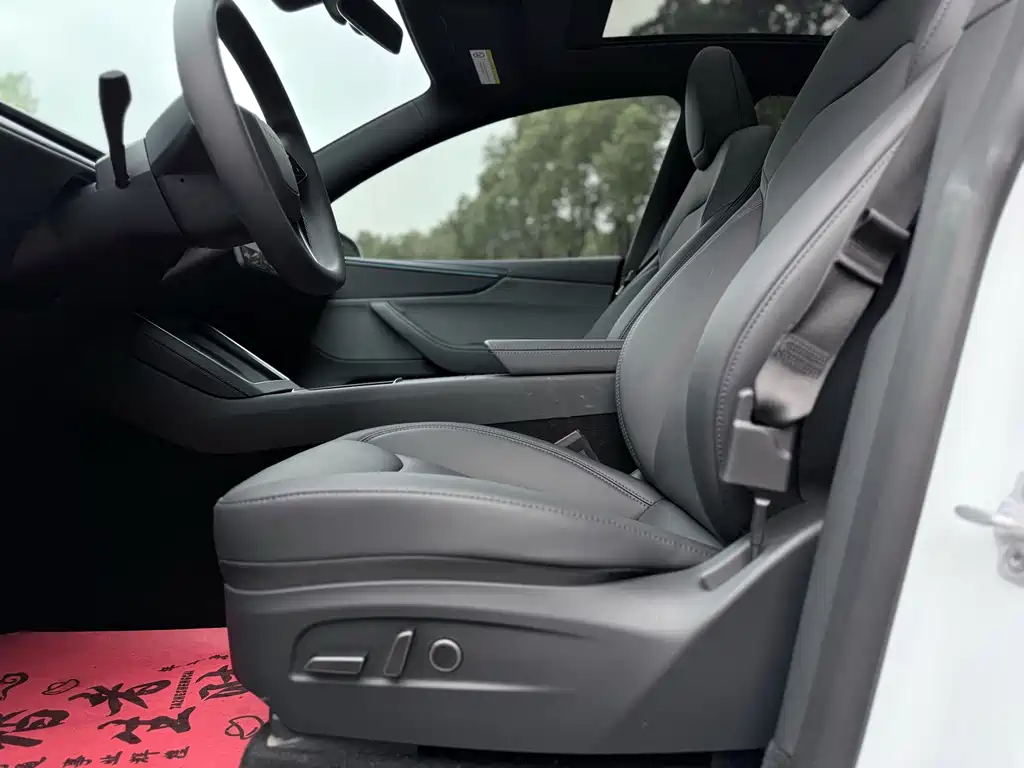 Tesla Model Y — миниатюра 4