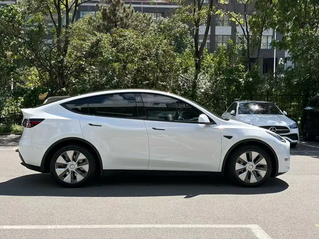 Tesla Model Y — миниатюра 5