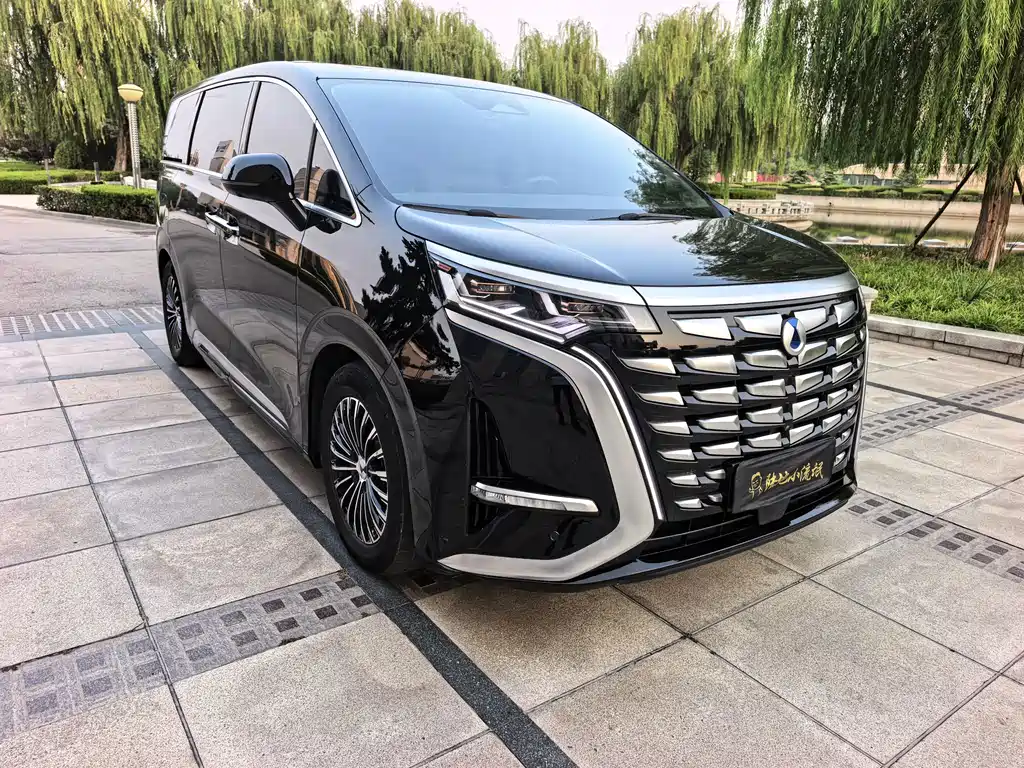 Denza Denza D9 — миниатюра 2