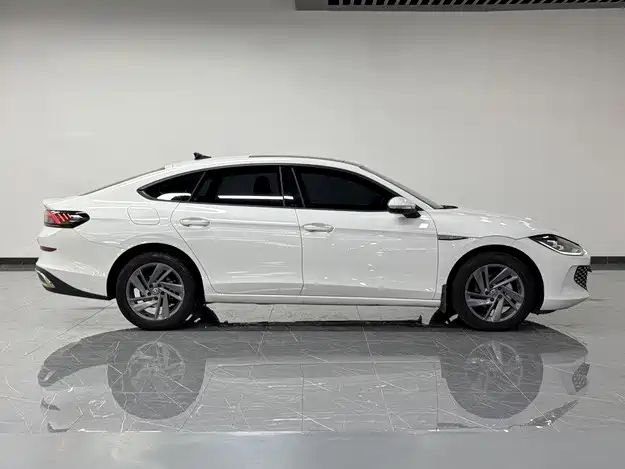 Volkswagen Lamando — миниатюра 8