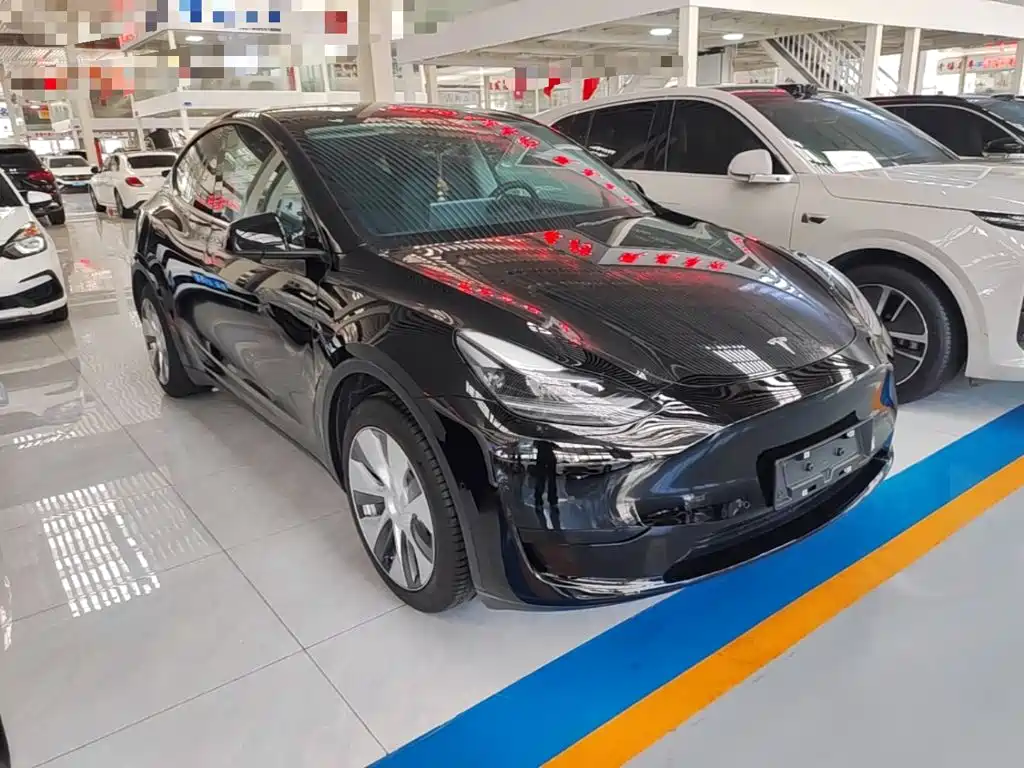Tesla Model Y — миниатюра 4