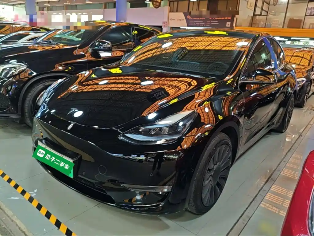 Tesla Model Y — миниатюра 2