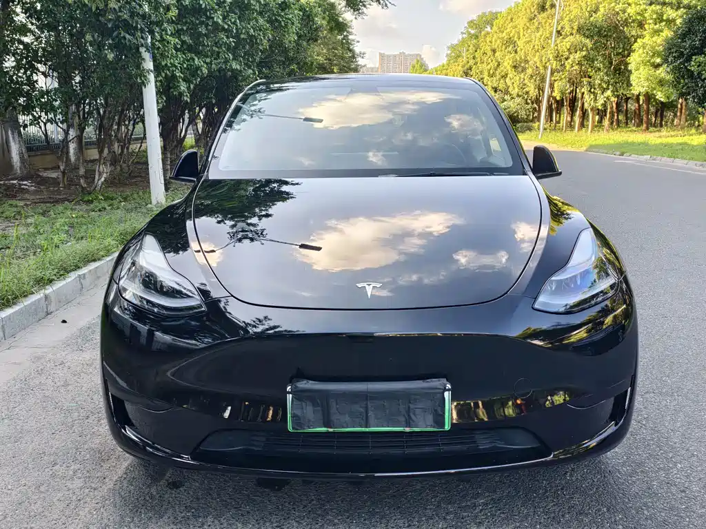 Tesla Model Y — миниатюра 2