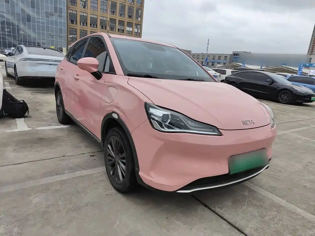 Neta Neta V — миниатюра 4