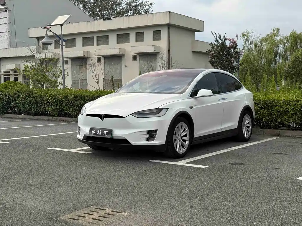 Tesla Model X — миниатюра 4