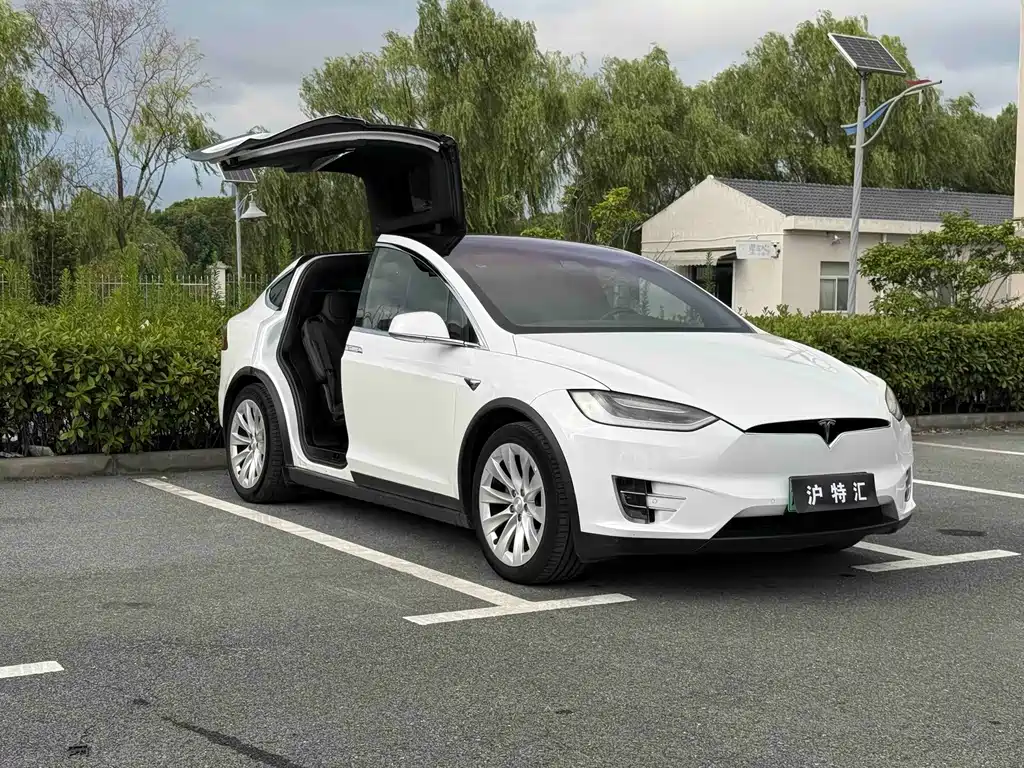 Tesla Model X — миниатюра 5