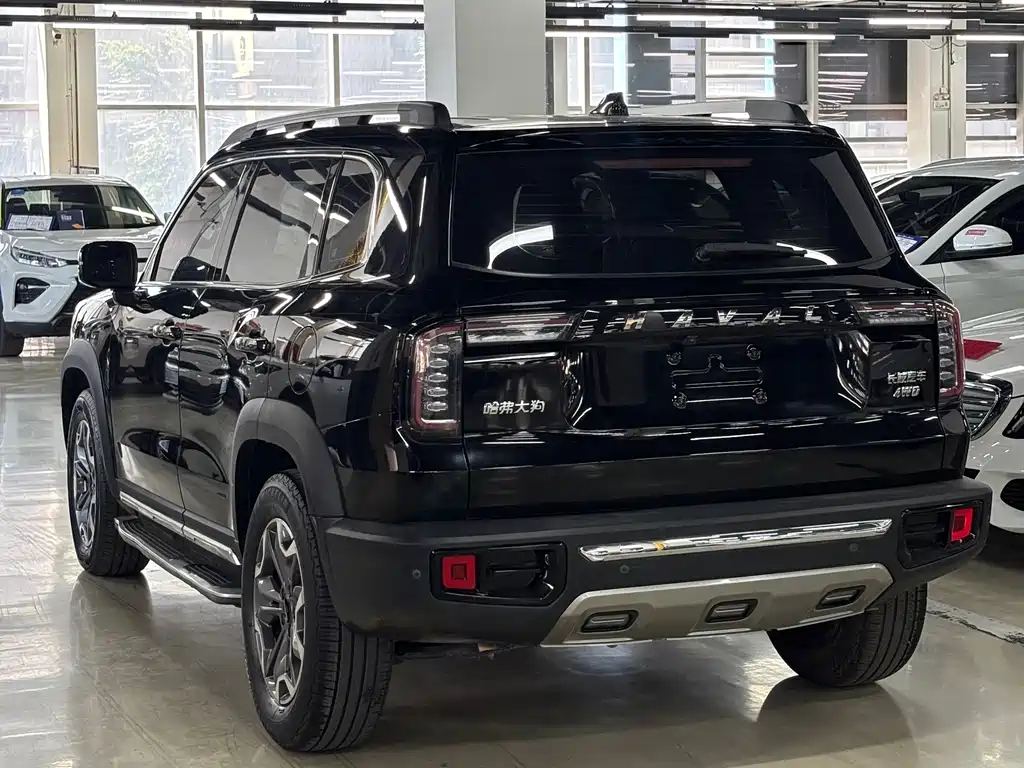 Haval Big Dog — миниатюра 13