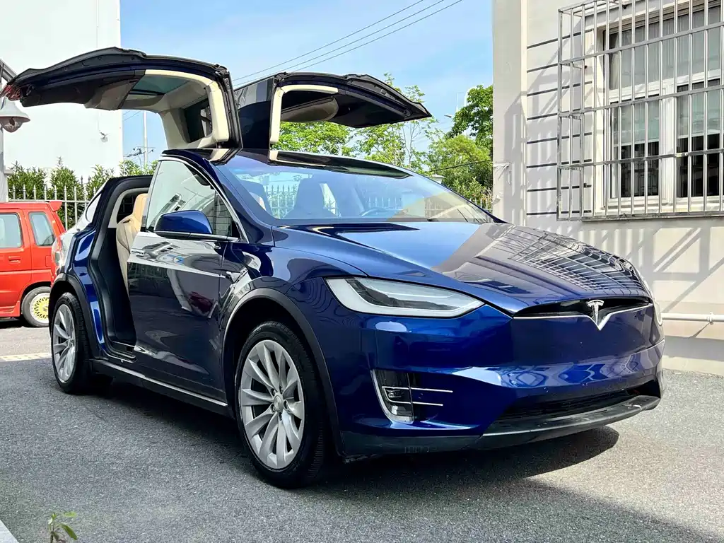Tesla Model X — миниатюра 4