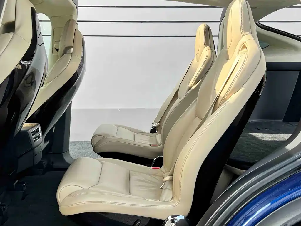 Tesla Model X — миниатюра 16